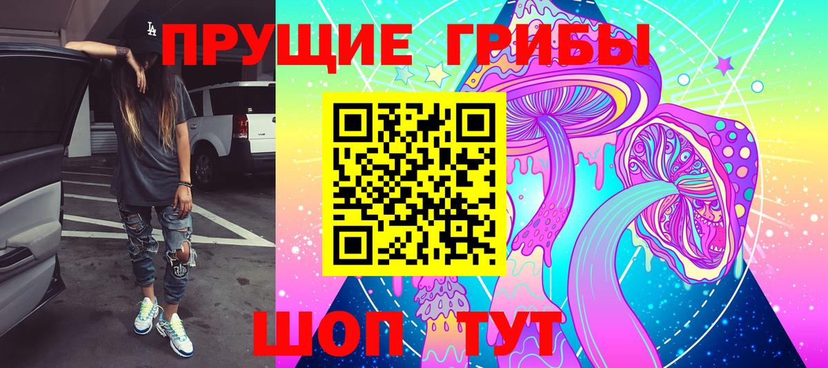 Орехово-Зуево  Псилоцибиновые грибы Psilocybine cubensis  Вход с VPN 