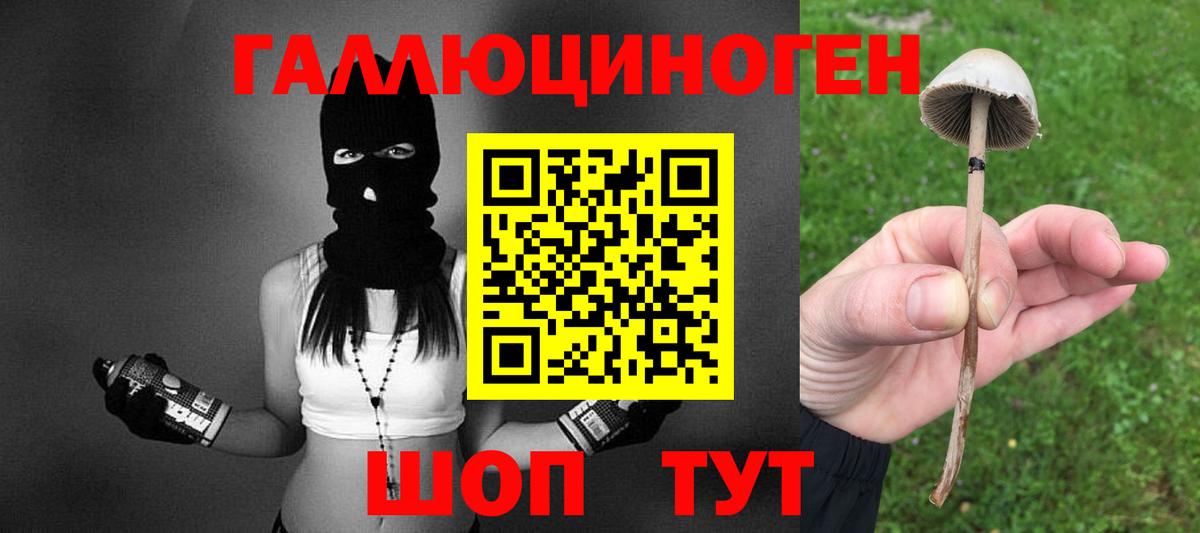 Псилоцибиновые грибы мухоморы Орехово-Зуево